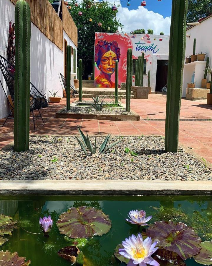 Ticuchi Hostal Oaxaca Eksteriør bilde